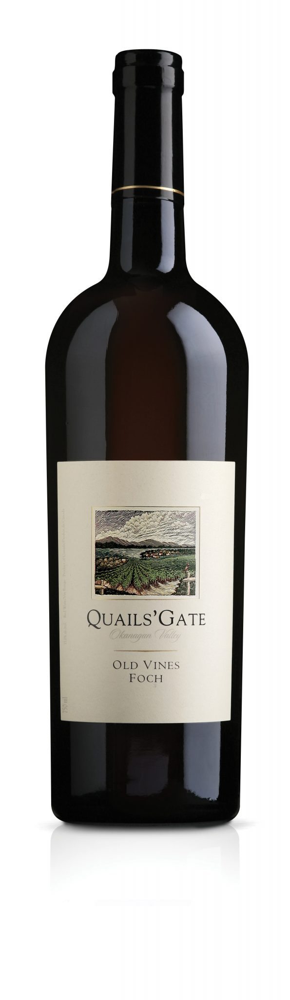QUAILS GATE OLD VINES FOCH